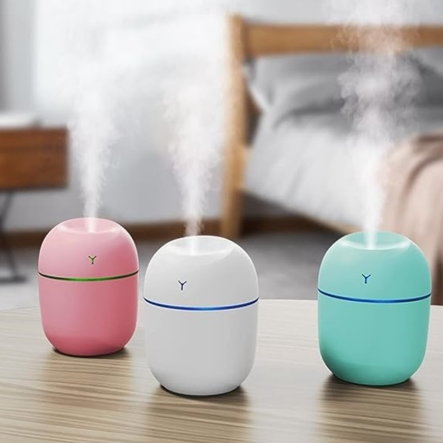 Mini Egg Humidifier