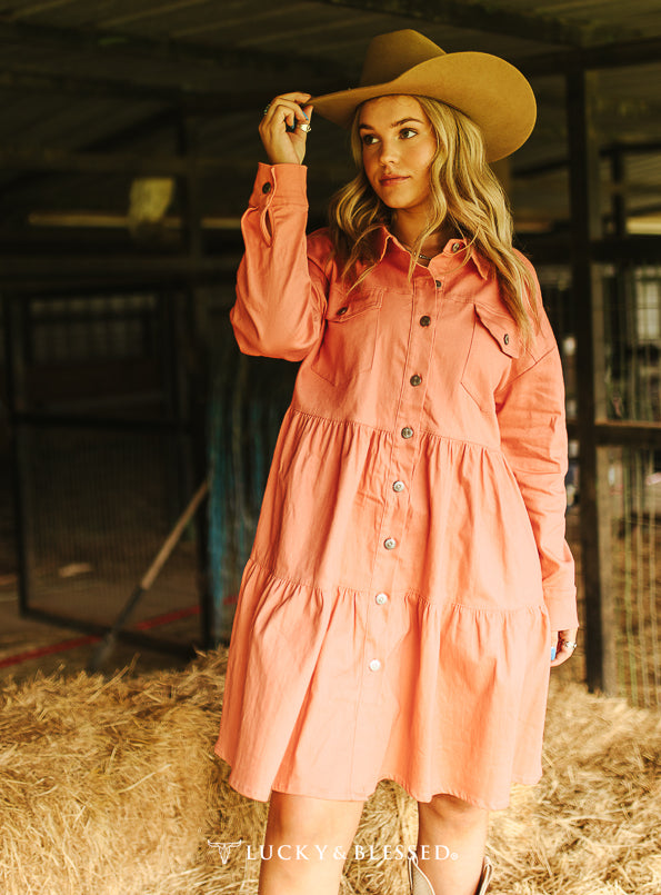 Denim Rodeo Dress